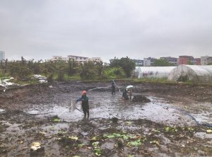 龙潭河道鱼塘清淤